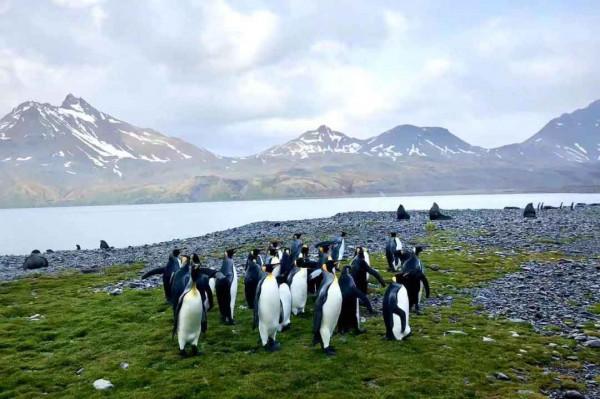 我們去南極結婚了 我們去南極結婚了