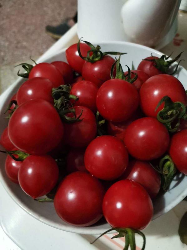 家中就能養的4種水果，好吃又好養，不用自己買水果了