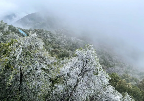 降溫有驚喜！南國山巔邂逅冰雪奇緣