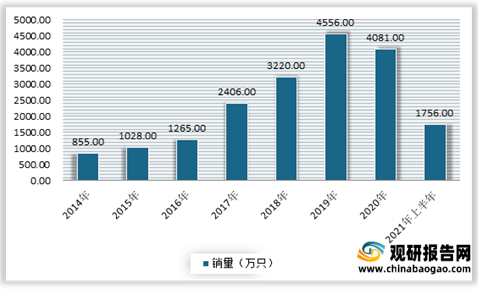 2021年中國牙刷消毒器市場分析報告-市場現狀與投資潛力研究