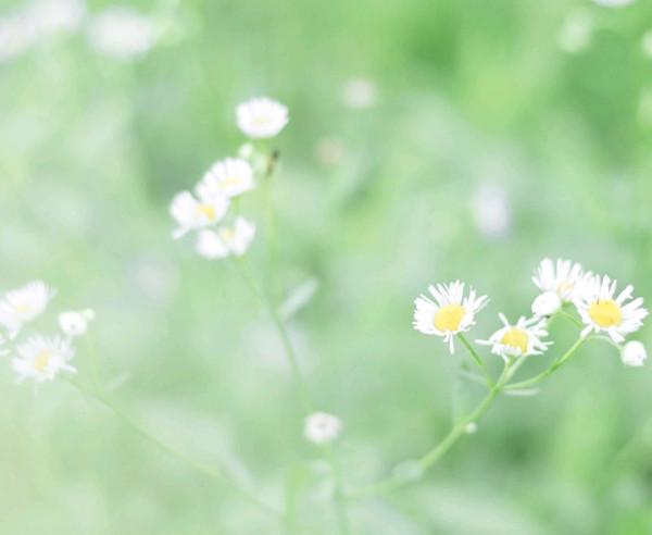 聰明過人，但容易抑鬱的星座：看透了一切，內心卻很孤獨