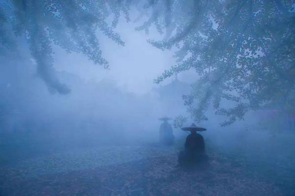 是大腦欺騙了我們？還是我們預知了未來？