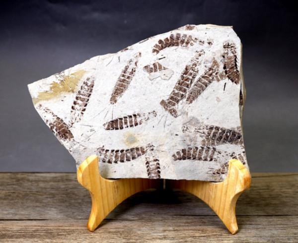 蘇聯企圖挖穿地球，花費24年結果如何？人類能挖穿地球嗎？