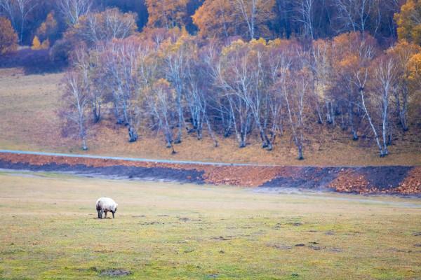 九大門票價格超貴的自然景觀,去過一次的人基本不會再去第二次 九大門票價格超貴的自然景觀,去過一次的人基本不會再去第二次
