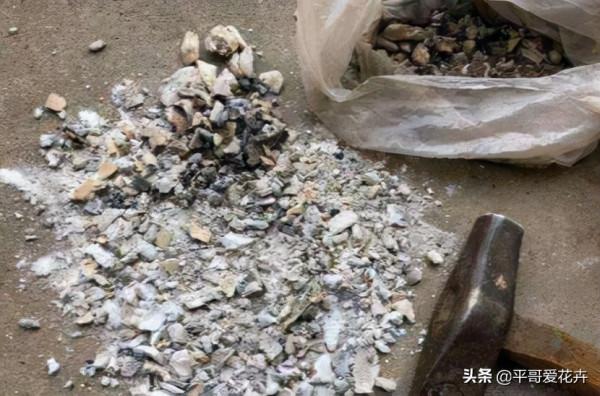 家裡最常見的“垃圾”，學會這樣處理，都是養花的“好寶貝”