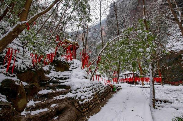 錯峰出遊，盡賞金絲峽冰雕玉琢雪景世界