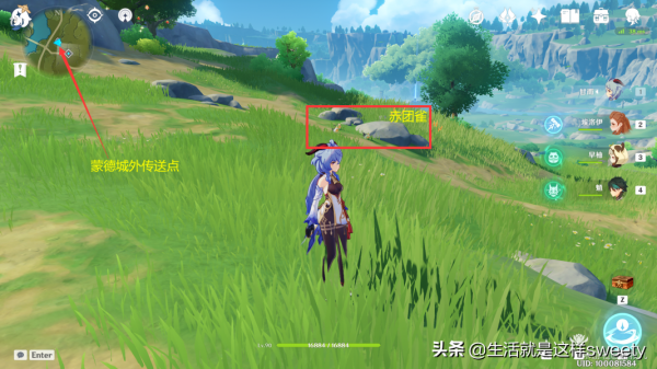 原神四方之網可捕捉小動物位置彙總一覽