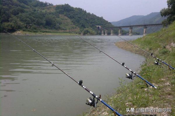冬天野釣打海竿用哪種餌料效果好?冬天用海竿野釣大魚的餌料種類 冬天野釣打海竿用哪種餌料效果好?冬天用海竿野釣大魚的餌料種類