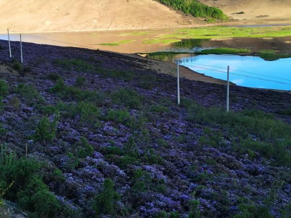 滇川藏24天之旅(四十三)木裡寸冬海子，一個值得再去的遠方