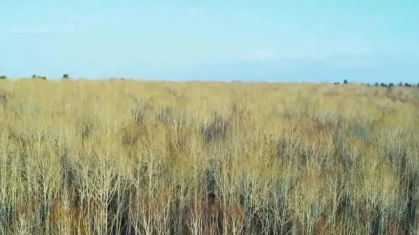 這部電視劇太有年代感了，攝影人不願放過每一幀