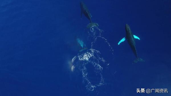 美核潛艇在南海與不明物體相撞!誰幹的? 美核潛艇在南海與不明物體相撞!誰幹的?