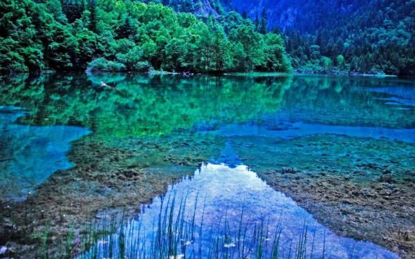 分享圖片&mdash;&mdash;奇美純淨風景集錦