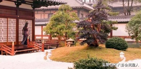 《斛珠夫人》預警:九州系列劇不要再亂拍了 《斛珠夫人》預警:九州系列劇不要再亂拍了