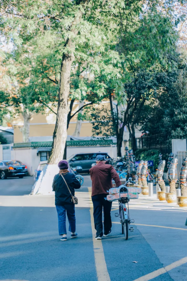 北京東路，喜提秋天