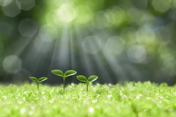 有的人為什麼窮的很穩定，有的人為什麼會富的很穩定