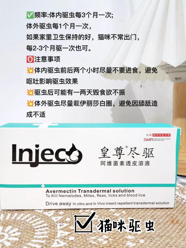 家裡養貓的聽我一句勸，你的這種行為對貓咪最有害