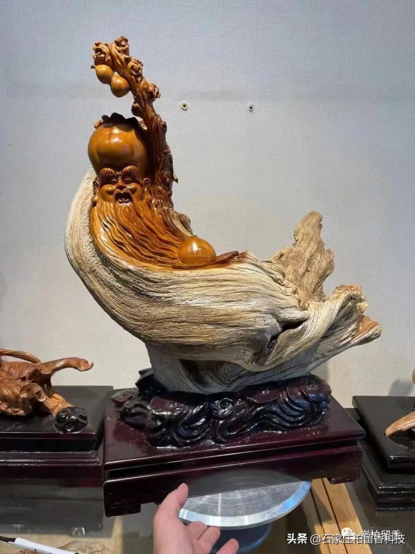 玩太行崖柏的真諦到底是什麼呢? 玩太行崖柏的真諦到底是什麼呢?