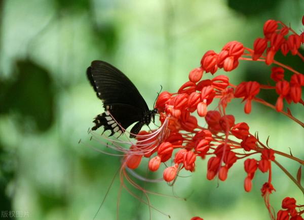 父母越老越&OpenCurlyDoubleQuote;薄情&rdquo;的背後，隱藏著他們內心多少難以言說的深情