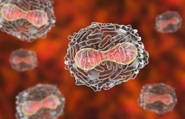 天花,唯一被消滅的傳染病,病毒僅在實驗室儲存,是否銷燬有爭議 天花,唯一被消滅的傳染病,病毒僅在實驗室儲存,是否銷燬有爭議