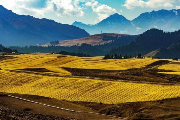 中國秋色正在上演!這9條自駕線,帶你領略不一樣的秋色 中國秋色正在上演!這9條自駕線,帶你領略不一樣的秋色