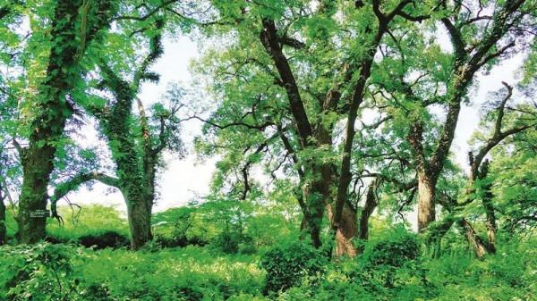 探究“千古第一村”——流坑