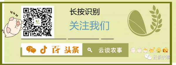 雞的祖先&mdash;&mdash;原雞是如何一步步變成家禽的？