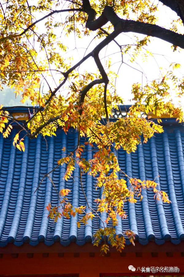 初冬的八公山風景區，最新靚照來了！