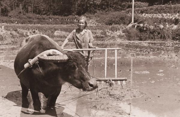 毛家飯店創始人:曾與主席是鄰居,91歲身價過億,不忘為人民服務 毛家飯店創始人:曾與主席是鄰居,91歲身價過億,不忘為人民服務