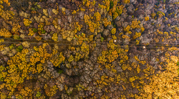 不出京,賞紅葉登山勝地!你想象不到北京周邊居然有這樣的好風光 不出京,賞紅葉登山勝地!你想象不到北京周邊居然有這樣的好風光