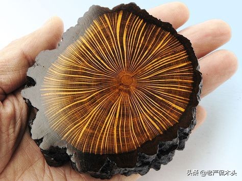 水波、瘤疤、影子,木材中的那些不正經的花紋 水波、瘤疤、影子,木材中的那些不正經的花紋