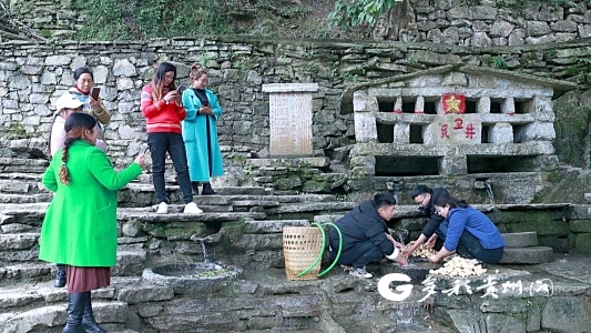 古村樂樂：能帶動村裡旅遊業發展 特別驕傲