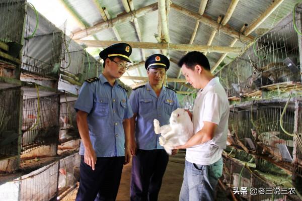 這三種食物，只要讓兔子一吃，少生病，產仔多，一隻年利潤1000元