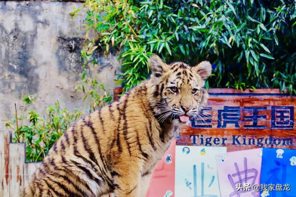 這個冬天，我們一起畢業