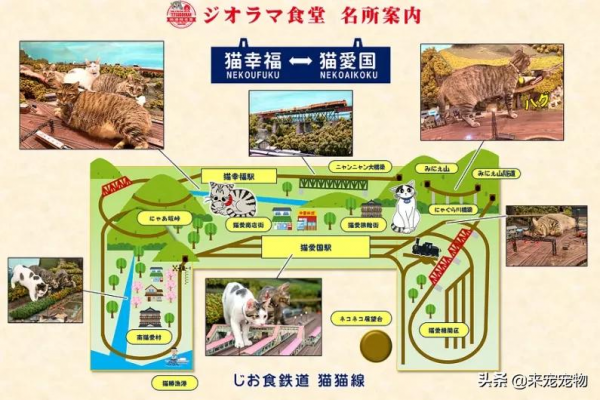 日本某網紅餐廳驚現巨型貓,網友:這麼大的貓是真實存在的嗎? 日本某網紅餐廳驚現巨型貓,網友:這麼大的貓是真實存在的嗎?