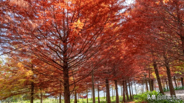 這個地方，會紅到你的心裡去