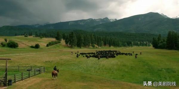 又來一部都市版《黃石》美劇,太狂野了 又來一部都市版《黃石》美劇,太狂野了