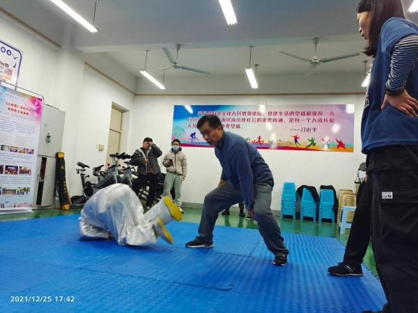 九式太極拳套路及實用技法