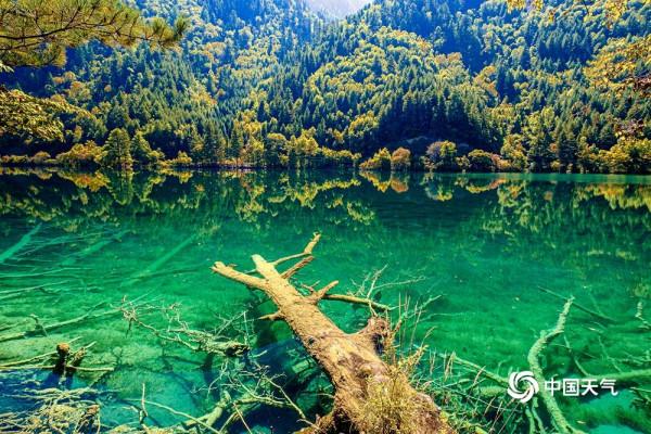 九寨溝景區恢復全域開放 圖看九寨溝絕美風光