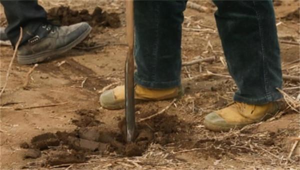 揭秘當代盜墓術：高度職業化，河南、陝西、山西已形成高危地區