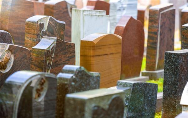 42歲的人手裡有10萬元，2022年想回農村創業，做什麼專案好？