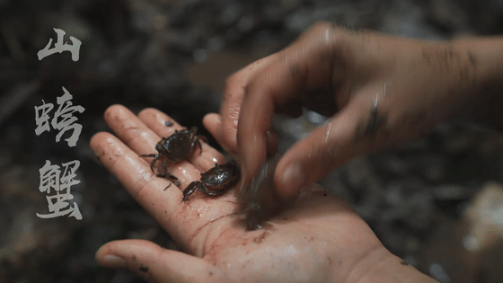 《貴州香辣蟹》 《貴州香辣蟹》
