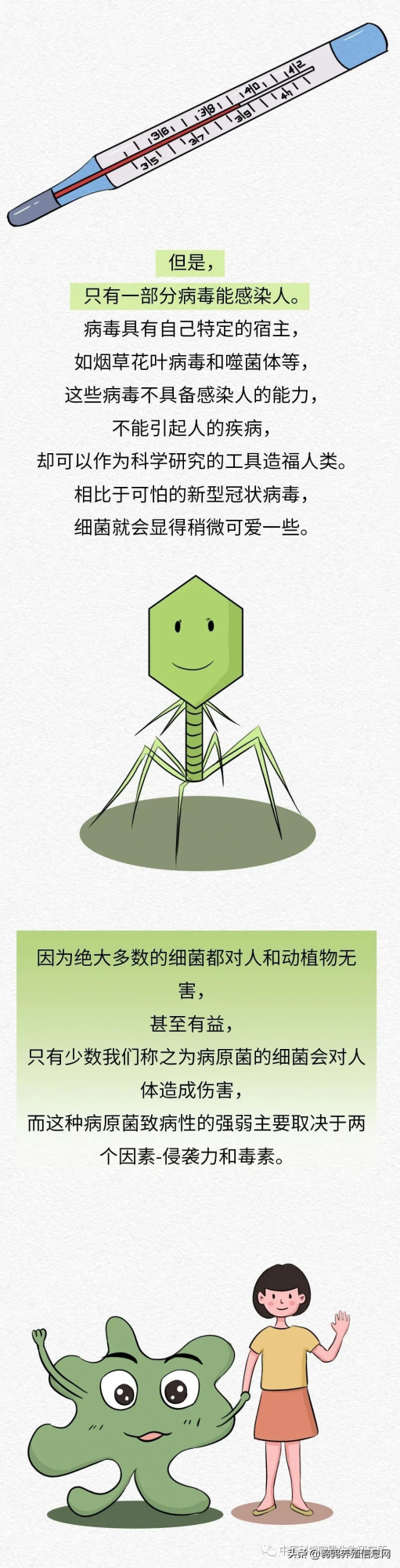 科普 | 病毒和細菌有什麼不同?(下集) 科普 | 病毒和細菌有什麼不同?(下集)