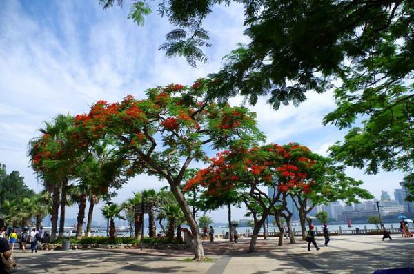 中國很乾淨的八座城市，環境優美空氣好，當地人太幸福了
