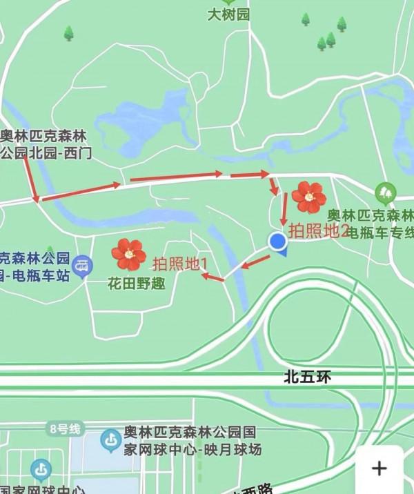 邂逅秋日波斯菊展