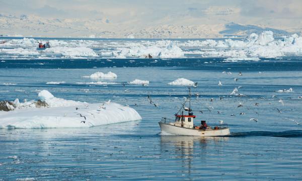 美國為什麼要從丹麥購買格陵蘭島？