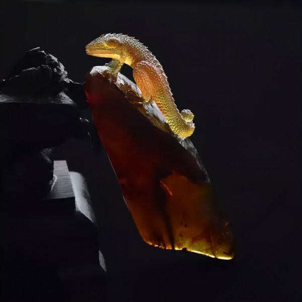 千年琥珀，驚豔了時光