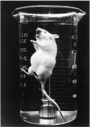 你能在液體裡呼吸嗎？