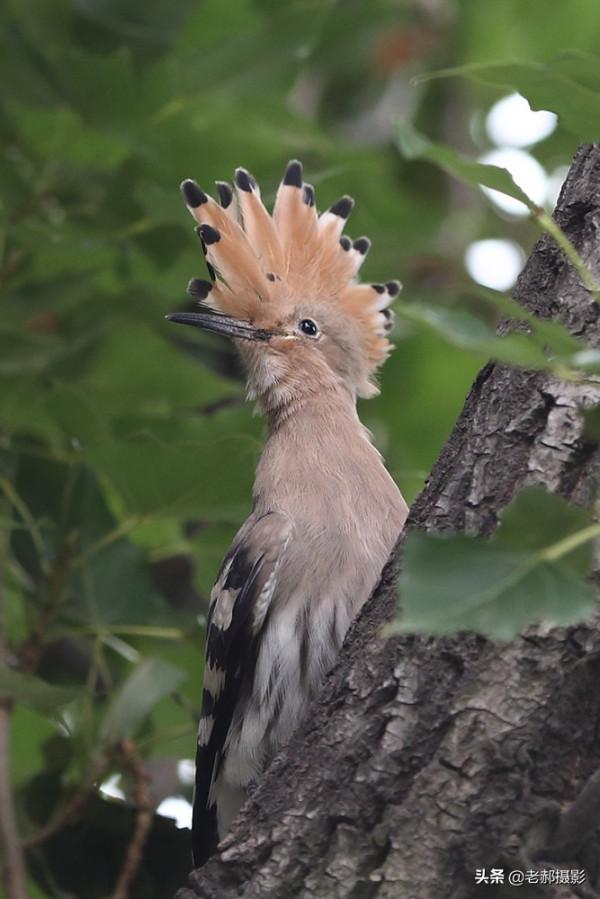 展現自己的美麗看心情