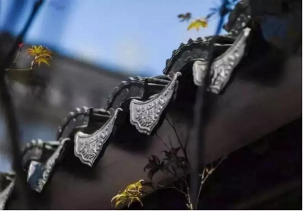 小小瓦片，美翻庭院