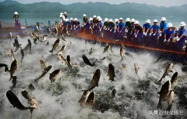 舌尖上的交鋒？欲加之罪何患無辭，中國吃貨表示：這鍋咱不背